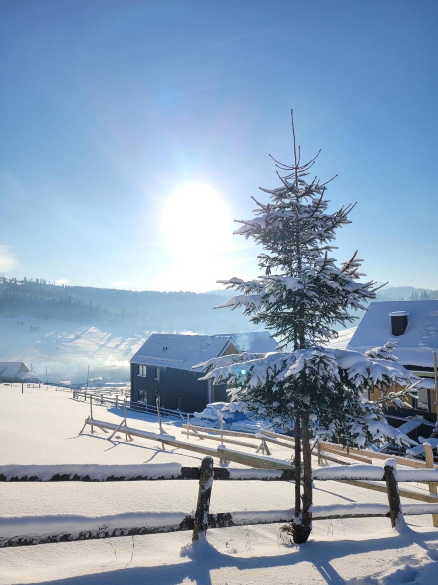 Шале Green Land Bukovel Ngoại thất bức ảnh