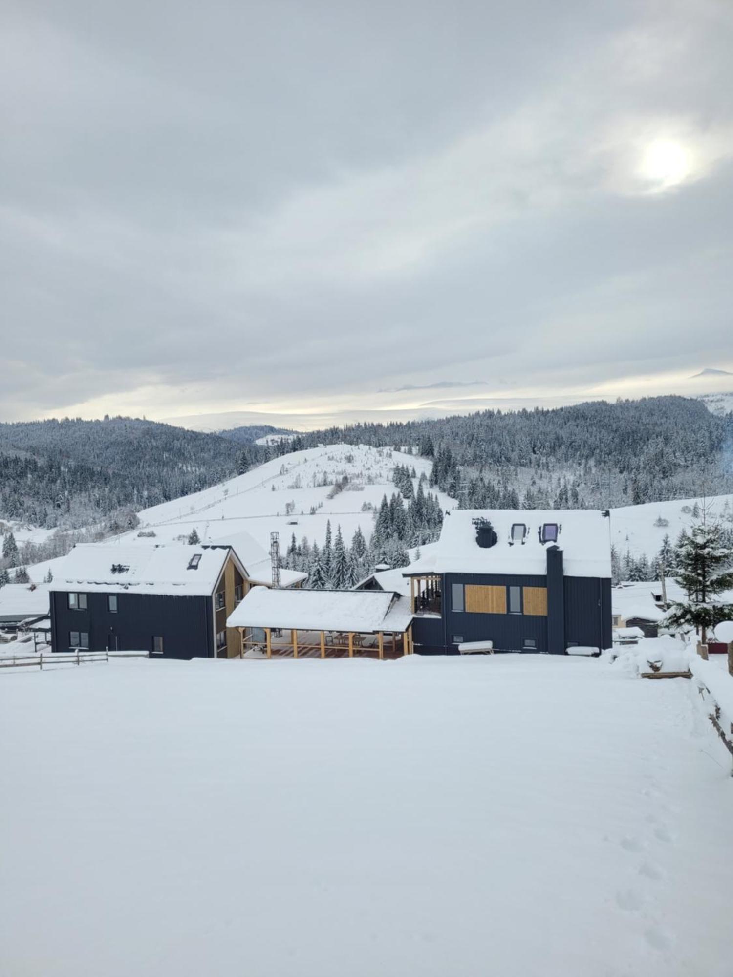 Шале Green Land Bukovel Ngoại thất bức ảnh